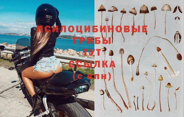 кокаин перу Алзамай