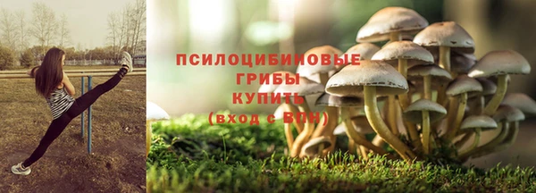 эйфоретик Алексин